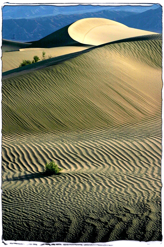 Death Valley Dunes 1 Death Valley, CA � Dave Hickey